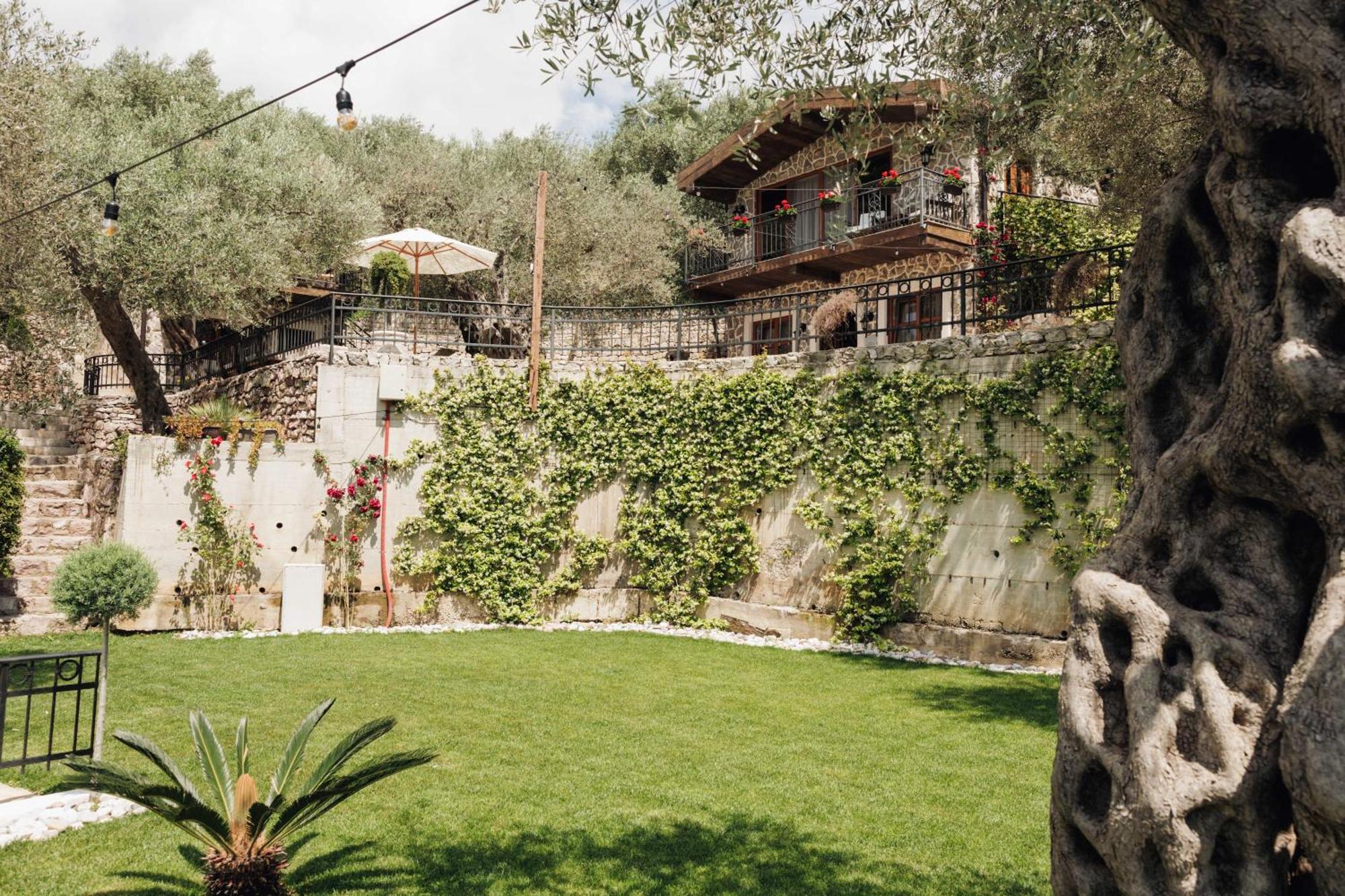 Olive Queen Rustic Estate Bar Ngoại thất bức ảnh