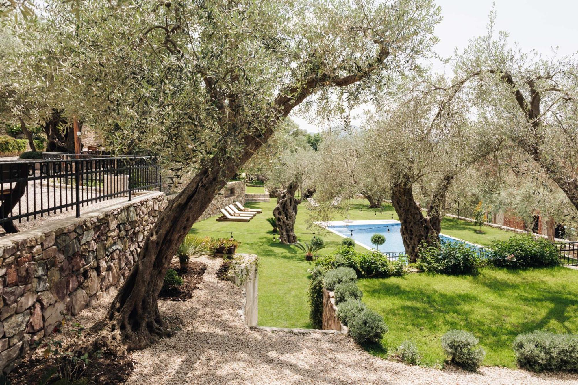 Olive Queen Rustic Estate Bar Ngoại thất bức ảnh