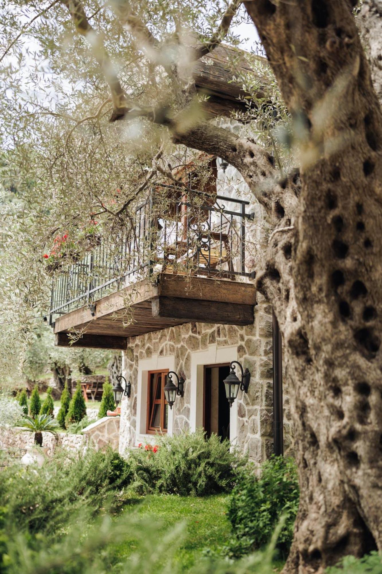 Olive Queen Rustic Estate Bar Ngoại thất bức ảnh
